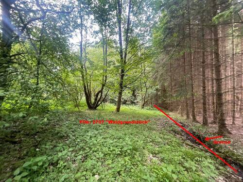 Grenzverlauf rechts - Grundstück in Wildflecken