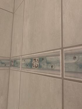 IMG_7197.jpeg - 