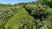 DJI_20250509175940_0029_D.JPG - Streuobstwiese mit Teich - 20.000,00 EUR Kaufpreis, ca.  0,00 m²