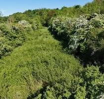 Streuobstwiese mit Teich - 20.000,00 EUR Kaufpreis, ca.  0,00 m² in Merzig (PLZ: 66663) Merchingen