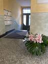 IMG_2817.jpeg - Ihre neue Adresse !!! Wohnung sucht nette Mieter :-)