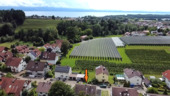 Luftbild - 7 Zimmer Mehrfamilienhaus, Wohnhaus in Kressbronn am Bodensee