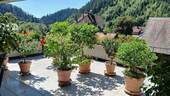Terrasse - Teilansicht - 
