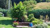 Eigener Brunnen - 