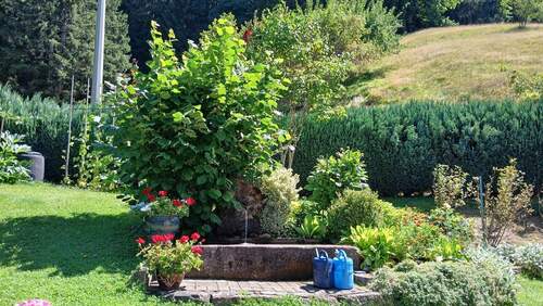 Eigener Brunnen - 