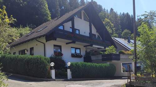 Zufahrt - Neuwertiges EFH in Alpirsbach • Energieeffizienz A • bestes Preis-Leistungs-Verhältnis in der Region