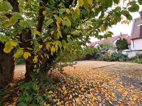 Baugrundstück - Grundstück zum Kaufen in Bad Krozingen