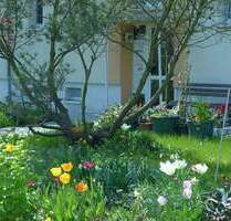 Moderne 2-Zimmer-Wohnung mit Balkon in Borna