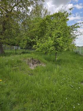 Garten - 