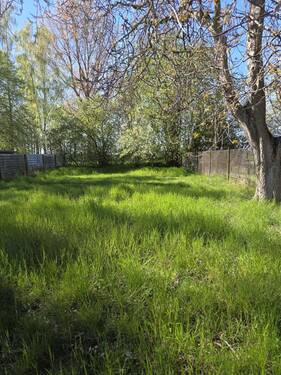 hinteres Grundstück / Garten - 