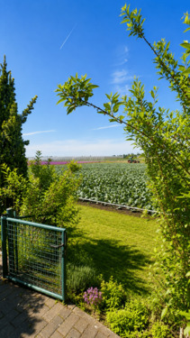 Ausblick von der Eingangsseite.png - Doppelhaushälfte mit 122,00 m&sup2; in Nürnberg zum Kaufen