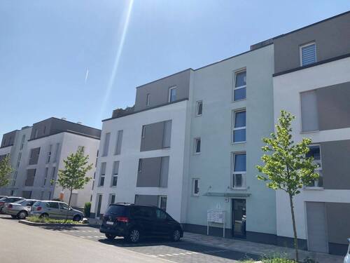 Straßenansicht eines modernen, mehrstöckigen Wohngebäudes mit heller Fassade, davor Parkplätze mit geparkten Autos und jungen Straßenbäumen bei sonnigem Himmel - 2 Zimmer Etagenwohnung zur Miete in Kelsterbach