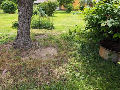 Garten - 