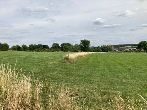 IMG_1767 - Neubaugebiet 'Stadtrandsiedlung II BA' 69 Grundstücke für EFH, DHH, MFH hier Beispiel Grundstück 21