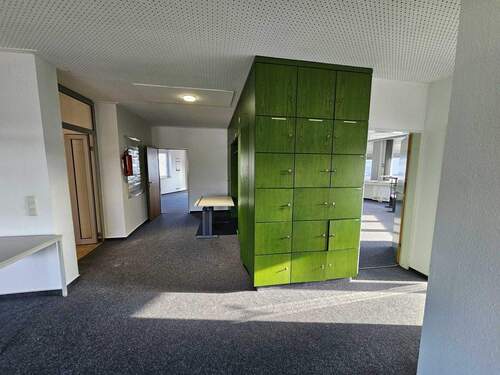 20251224_120806.jpg - 