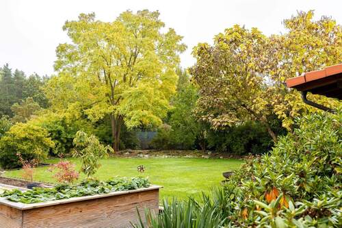 Garten hinter dem Haus - 