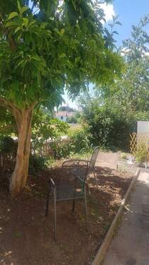 Magnolie vor dem Haus - 5 Zimmer Einfamilienhaus zum Kaufen in Windsbach