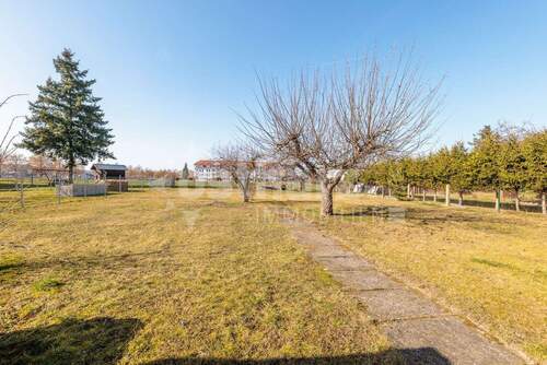 Grundstücksansicht - Doppelhaushälfte mit 95,00 m&sup2; in Ballenstedt zum Kaufen