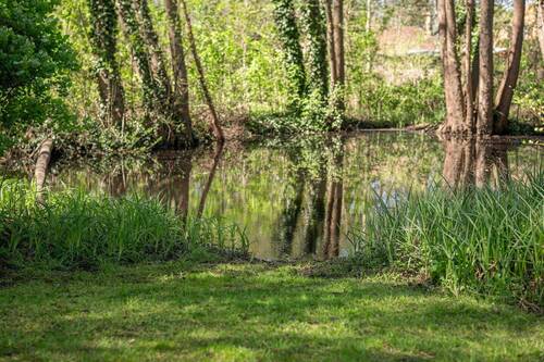 Eigener Naturteich - 