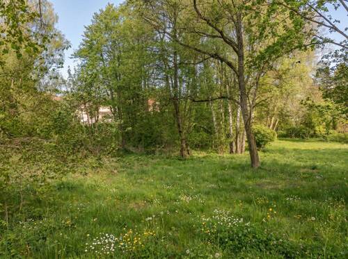 Baugrundstück - Grundstück zum Kaufen in Stahnsdorf