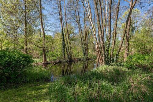 Naturteich - Grundstück in Stahnsdorf