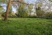 Baugrundstück mitten in der Natur - Grundstück in Stahnsdorf zum Kaufen