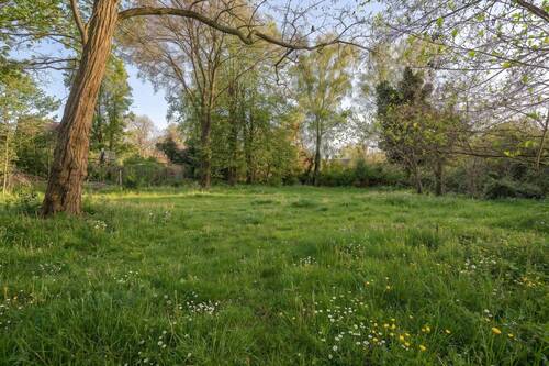 Baugrundstück mitten in der Natur - Grundstück in Stahnsdorf zum Kaufen