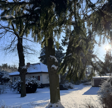 IMG_9101_live.PNG - Einfamilienhaus mit 83,00 m&sup2; in Mühlenbecker Land zum Kaufen