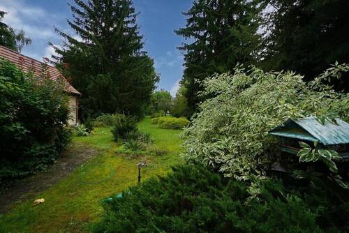 Blick in den Garten - 