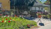 in freundlicher Nachbarschaft - 