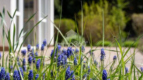 gepflegter Garten - 