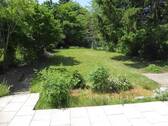 x P1120066.JPG - 
