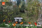 Blick in den Garten - 