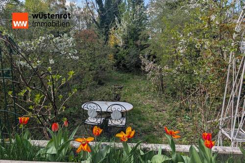 Blick in den Garten - 