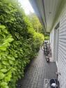 Haus 1 - Wohnzimmer - Garten - 