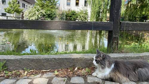Ansicht - Bauernhaus, Landhaus mit 350,00 m&sup2; in Dresden zum Kaufen