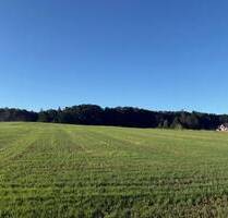 Neues Baugebiet in Bispingen, zentrale Lage