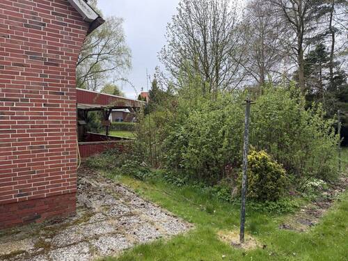 Alter Baumbestand - 