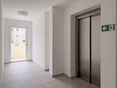 Flur - 