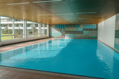 Hauseigenes Schwimmbad - 
