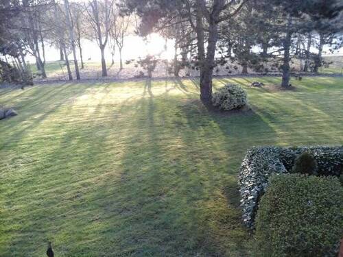Blick vom Balkon zum Mühlenteich - Modernisierte 2-Zim.-Whg. mit Blick auf den Mühlenteich