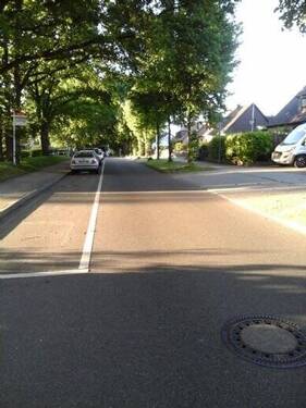 alleeartige Strasse - 