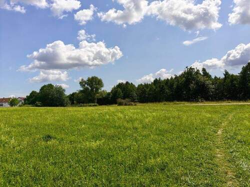 Baugrundstück ideal für Bauträger/Investoren - Grundstück zum Kaufen in Ortenburg / Söldenau