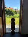 Blick zum Garten - 