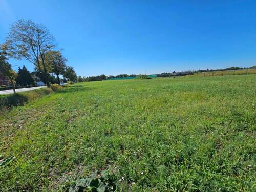 Bild 2 - Grundstück zum Kaufen in Küstriner Vorland