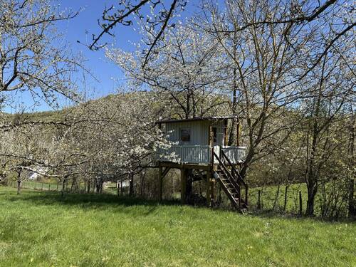 Baumhaus - 