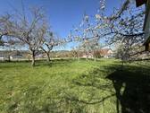 Blick vom Baumhaus zum Haus - 