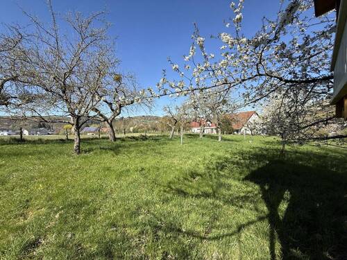 Blick vom Baumhaus zum Haus - 