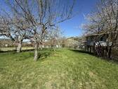 Streuobstwiese - 