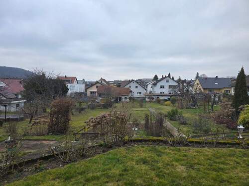 20260220_151819.jpg - 